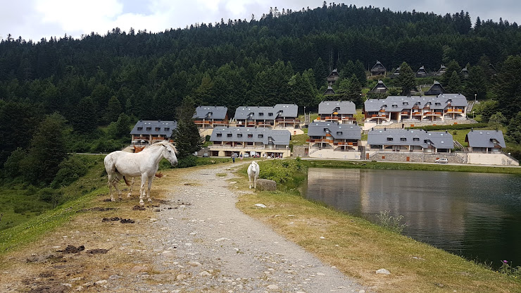 Extérieur Hébergement d'intérieur Gites de Payolle 65710 Campan