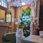 Photo n° 1 de l'avis de Lilou.e fait le 18/03/2024 à 20:14 pour Matcha Ochaya 無邪 à Paris