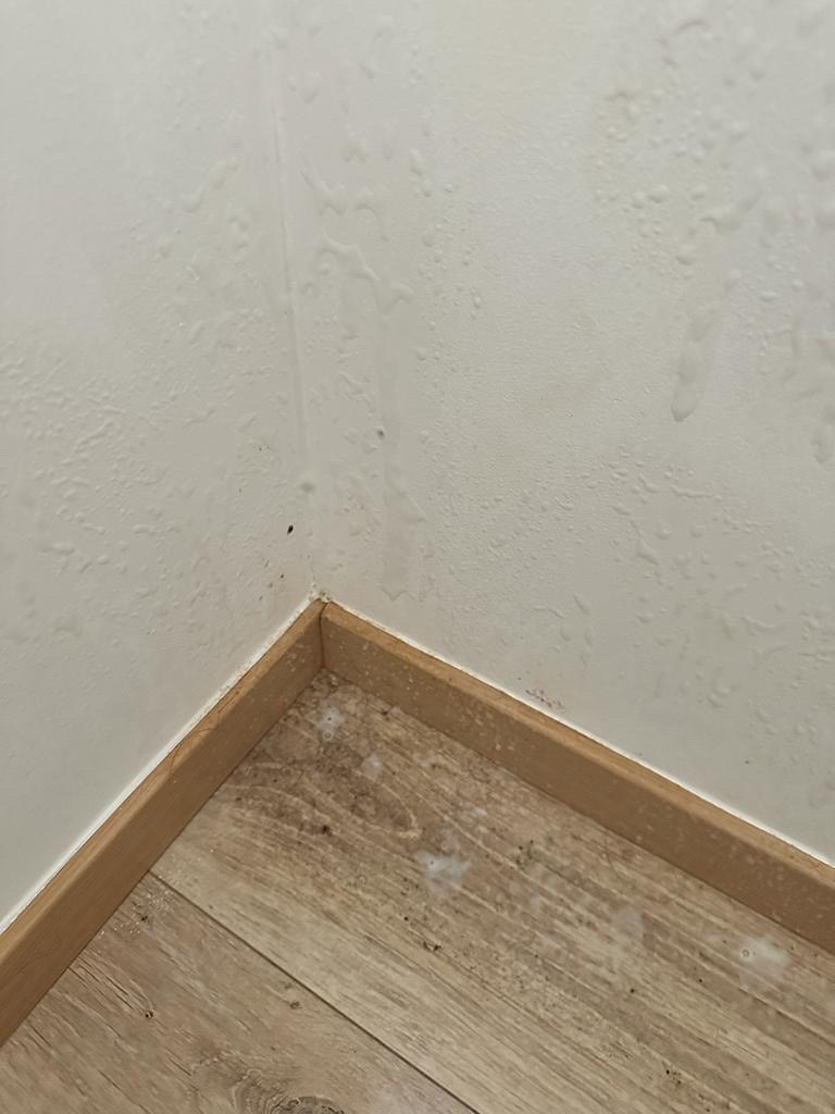 Photo n° 7 de l'avis de Mélissa. fait le 20/10/2023 à 15:52