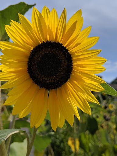 Event Venue «The View on the Hudson», reviews and photos, 101 Shad Row, Piermont, NY 10968, USA