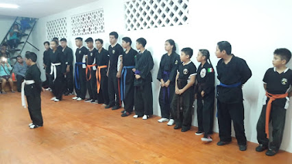 Academia de artes marciales Espartanos