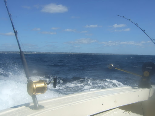 Fishing & Diving Charter Boat