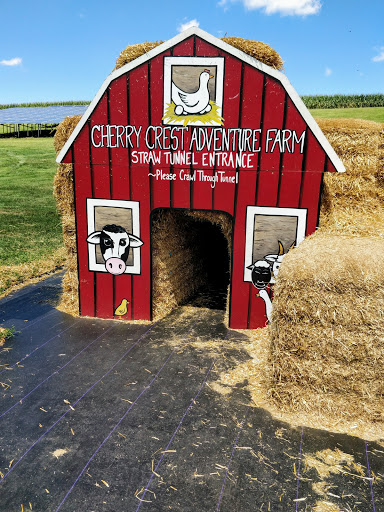 Farm «Cherry Crest Adventure Farm», reviews and photos, 150 Cherry Hill Rd, Ronks, PA 17572, USA
