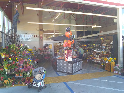 Vons image