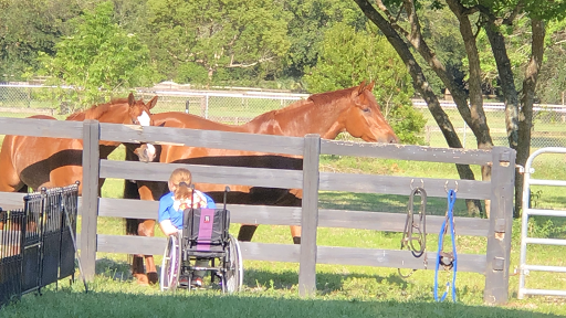 SpiritHorse at Windermere Equestrian Center