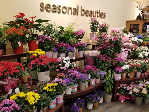 Safeway image