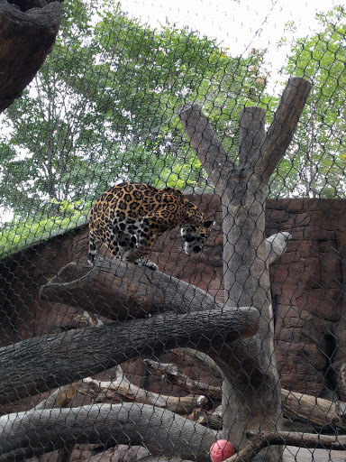 Zoo «Durhams Bear Canyon», reviews and photos, 3701 S 10th St, Omaha, NE 68107, USA