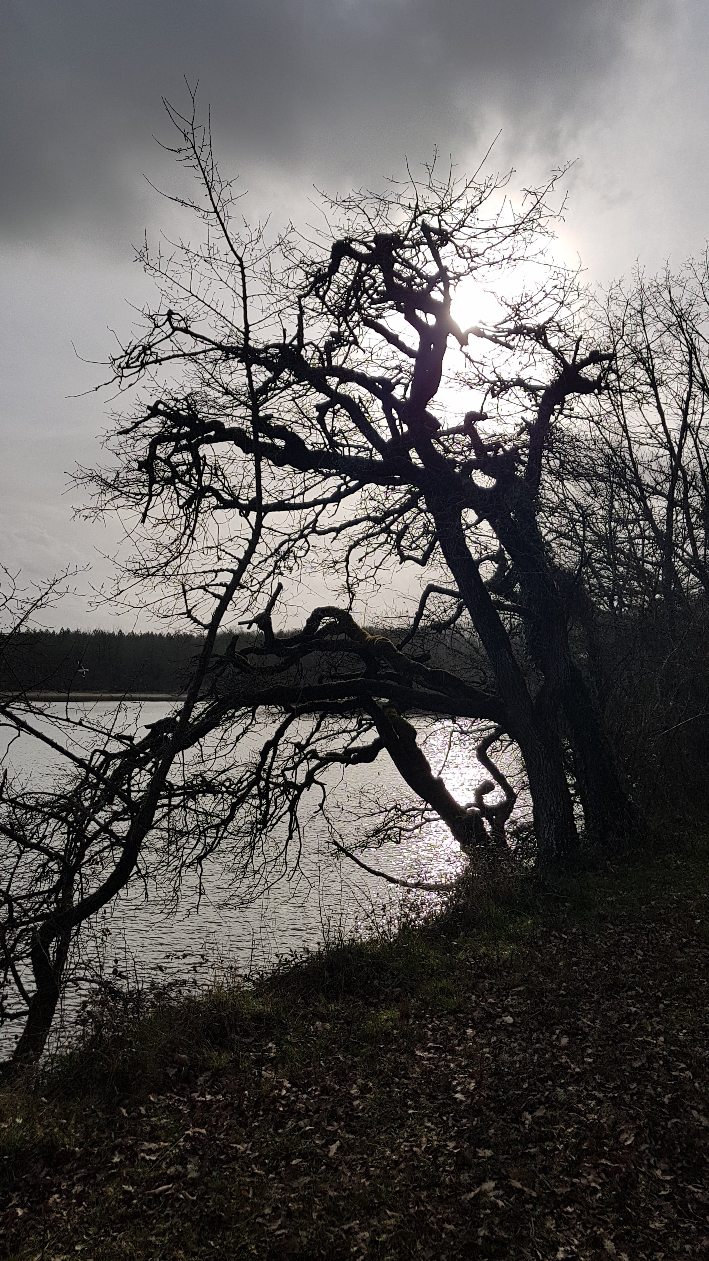 Photo n° 4 de l'avis de Thierry.a fait le 18/02/2019 à 14:33