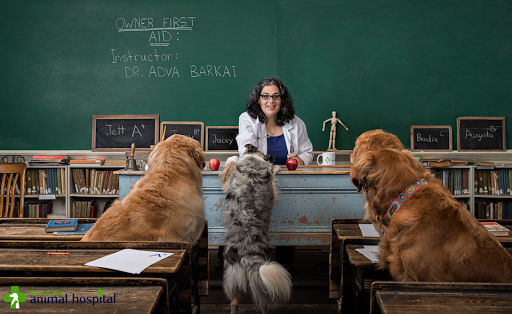 Russell Lake Animal Hospital image