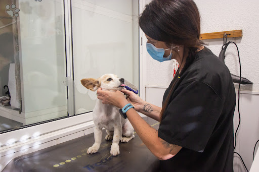 Anoia Veterinaria Masquefa en Masquefa