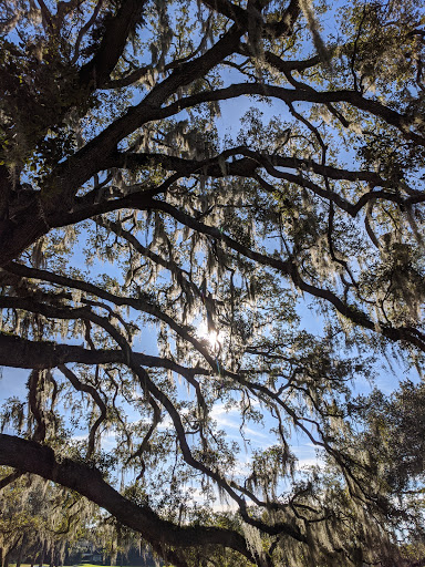 Country Club «Palma Ceia Golf & Country Club», reviews and photos, 1601 S MacDill Ave, Tampa, FL 33629, USA