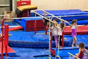 Halifax Alta Gymnastics Club image