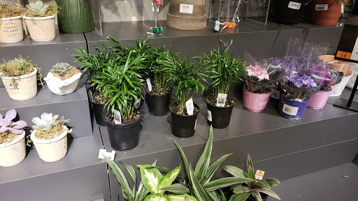 Supermarket «Giant», reviews and photos, 10653 Braddock Rd, Fairfax, VA 22032, USA