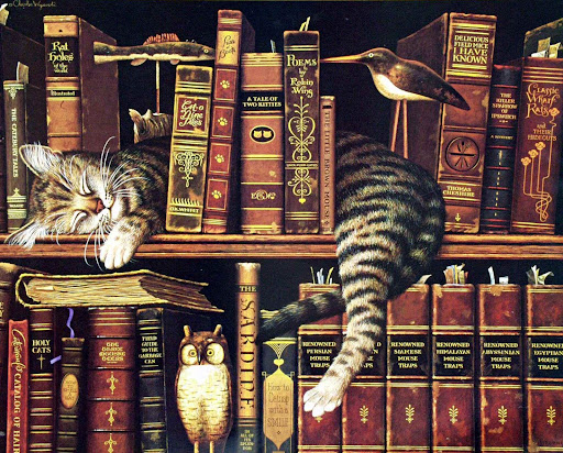 Book Store «The Bookstore», reviews and photos, 1602 Commerce St, Liberty, TX 77575, USA