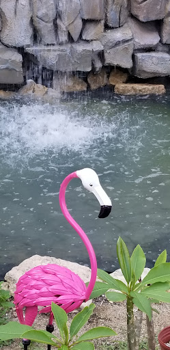 Ice Cream Shop «The Island Muncie», reviews and photos, 400 W McGalliard Rd, Muncie, IN 47303, USA