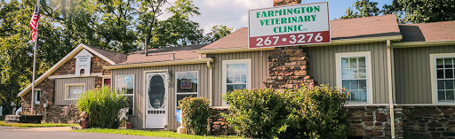 Farmington Veterinary Clinic, A Thrive Pet Healthcare Partner image