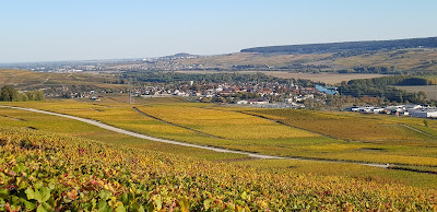 Champagne HENRY BERTRAND à Damery
