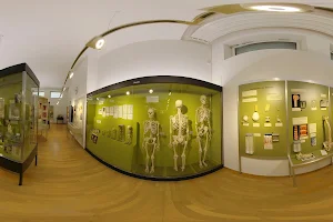 Anatomical Museum of the University of Basel image