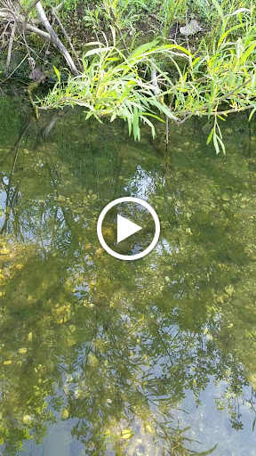 Golf Course «Twin Lakes Golf Course & Recreation Area», reviews and photos, 1200 E Lake Dr, Palatine, IL 60074, USA