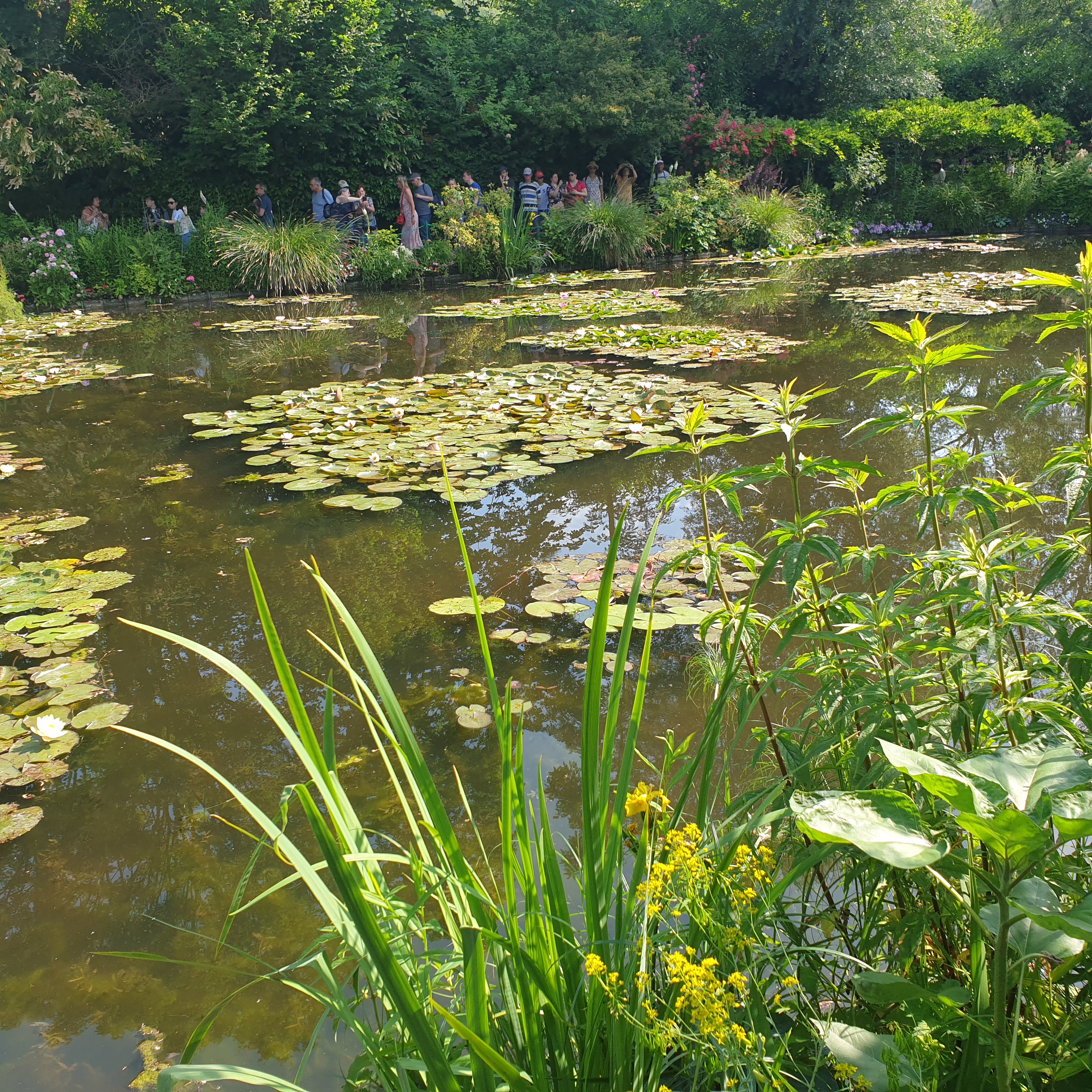 Photo n° 5 de l'avis de Marie.. fait le 11/06/2023 à 07:23