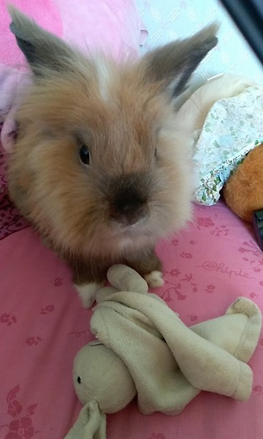 Photo n° 1 de l'avis de Anthony.E fait le 26/08/2019 à 12:39