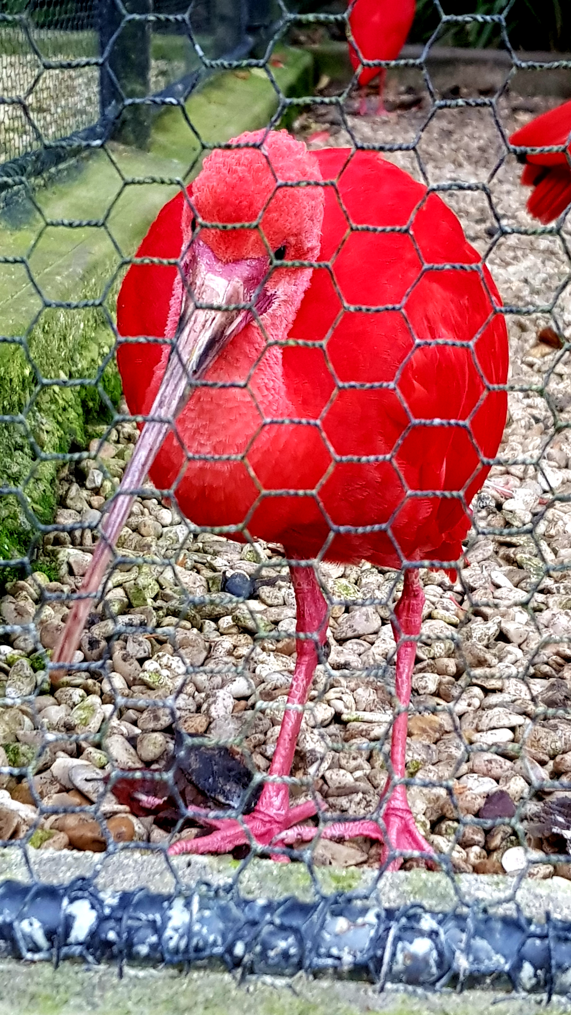 Photo n° 6 de l'avis de Morglaz.c fait le 10/11/2021 à 10:42