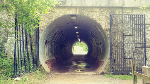 State Park «Hammerman Area Beach», reviews and photos, 7200 Graces Quarters Road, Middle River, MD 21220, USA