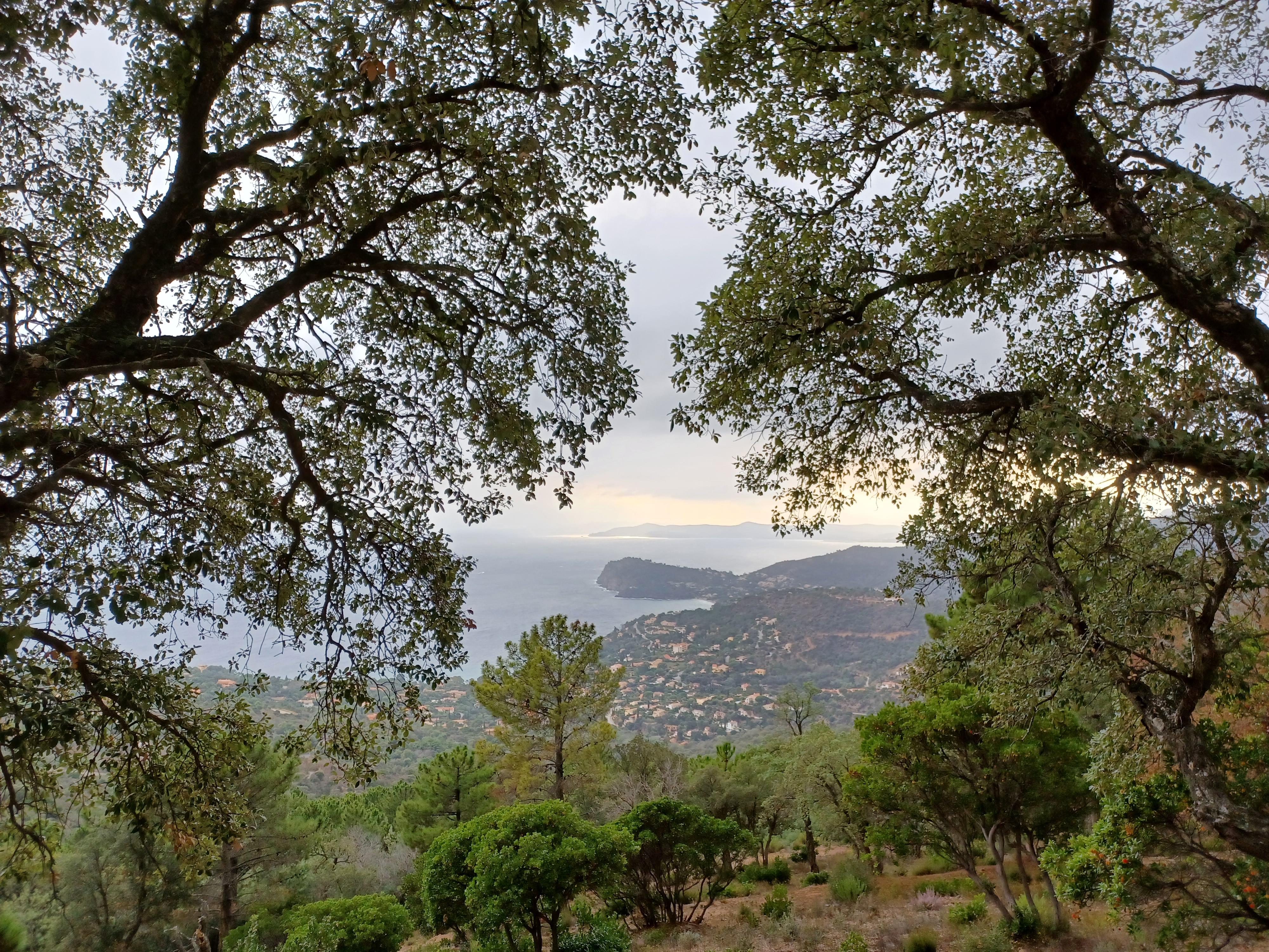 Photo n° 4 de l'avis de AM. fait le 13/11/2023 à 11:28