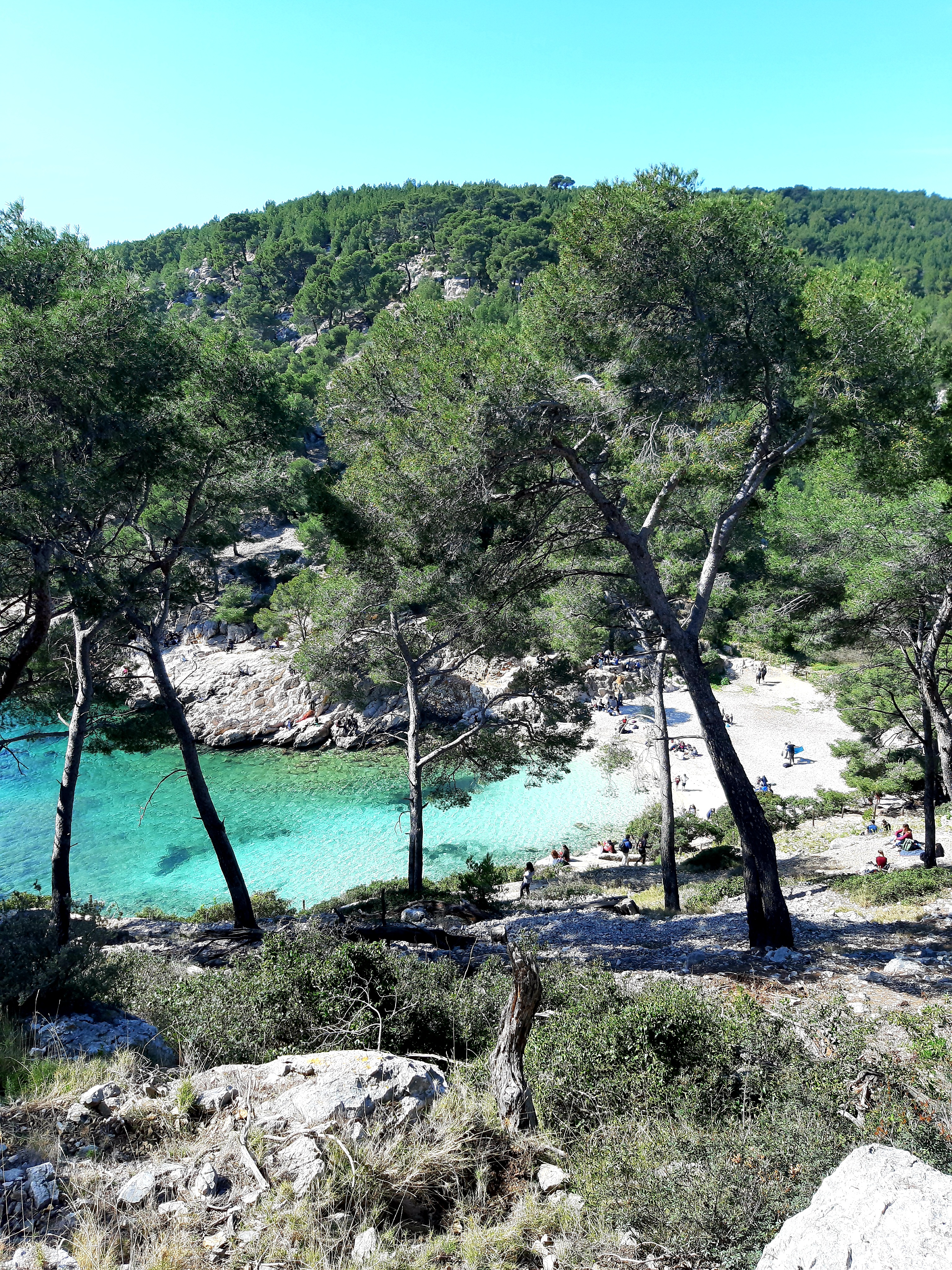 Photo n° 18 de l'avis de Islas.a fait le 27/03/2021 à 17:41