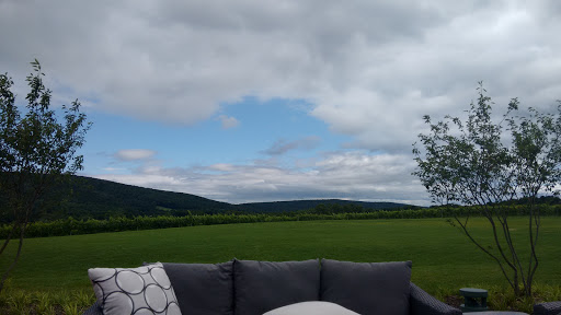 Winery «Big Cork Vineyards», reviews and photos, 4236 Main St, Rohrersville, MD 21779, USA