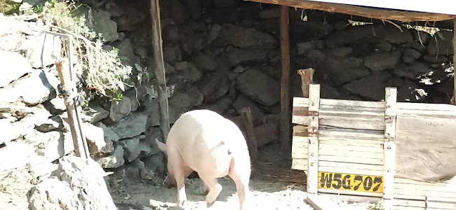 Granja EL MATACHOCCINO