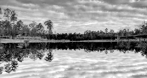 Park «Lake Houston Wilderness Park», reviews and photos, 25840 FM 1485, New Caney, TX 77357, USA