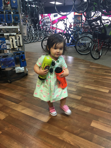 Bicycle Store «Ride N Roll Cyclery», reviews and photos, 6572 Seminole Blvd, Seminole, FL 33772, USA