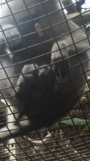 Nature Preserve «Harden Hammock Preserve», reviews and photos, SW 108th Ave, Miami, FL 33170, USA