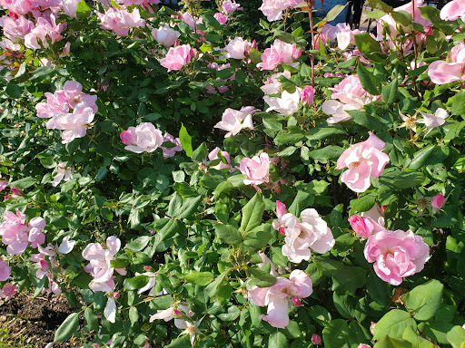 Park «Elmhurst Park», reviews and photos, 57th Ave & Grand avenue, Queens, NY 11373, USA