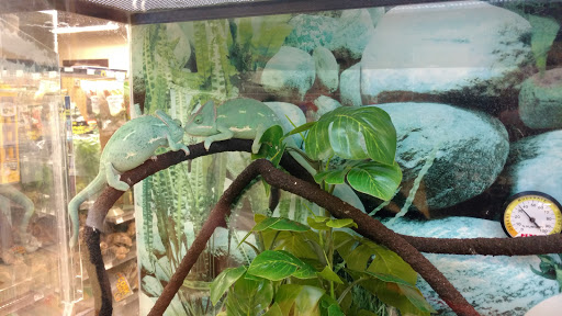 Pet Supply Store «Petco Animal Supplies», reviews and photos, 1470 E Hallandale Beach Blvd, Hallandale Beach, FL 33009, USA