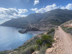 Photo de Cala Salitrona Beach situé dans une zone naturelle