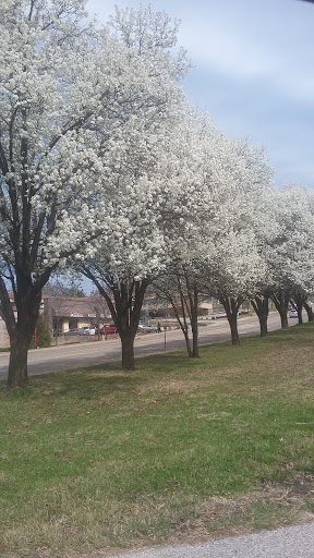 Auto Parts Store «Advance Auto Parts», reviews and photos, 11725 Dorsett Rd, Maryland Heights, MO 63043, USA