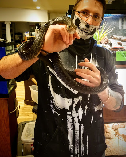 Tropical Fish Store «Harris In Wonderland», reviews and photos, 12 W Main St, Avon, CT 06001, USA