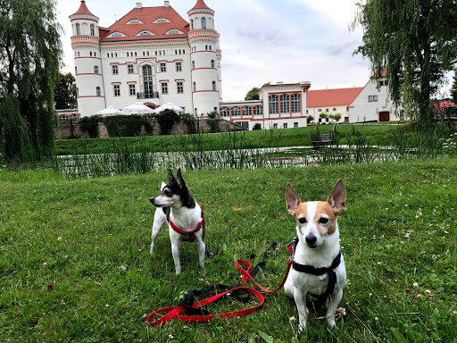 Dr. med. vet. Ines Schmid unter Lupburg, 