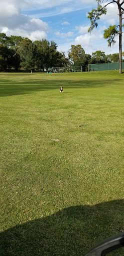 Golf Club «Mount Dora Golf Club», reviews and photos, 1100 S Highland St, Mt Dora, FL 32757, USA