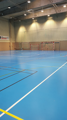 Isbjørnhallen - Swimming Pool