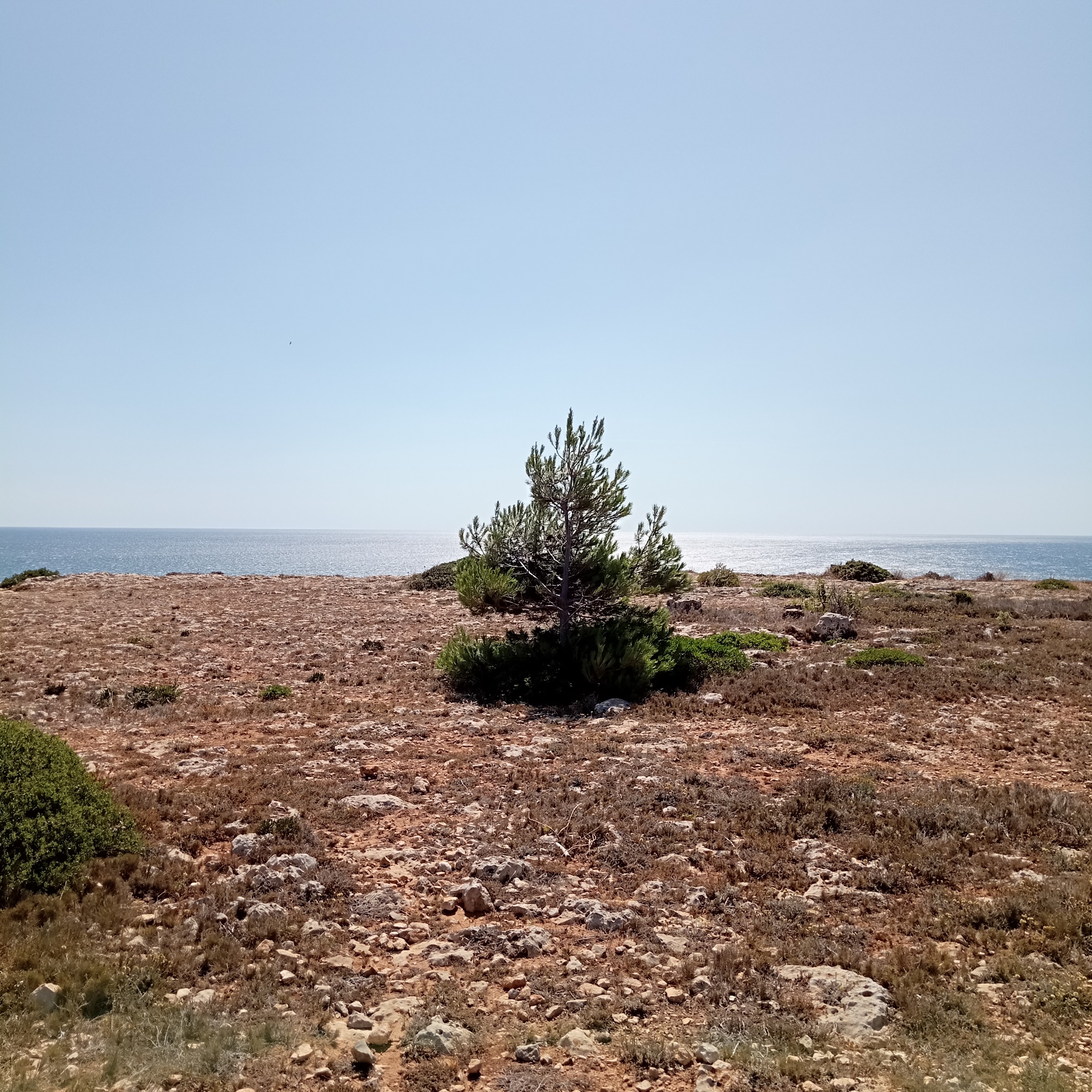 Photo n° 2 de l'avis de nicolas.a fait le 18/07/2023 à 16:46
