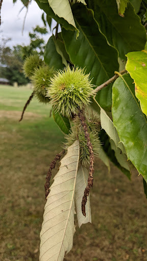 Park «East Palestine City Park», reviews and photos