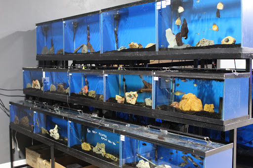 Tropical Fish Store «America Aquaria», reviews and photos, 3485 N 124th St, Brookfield, WI 53005, USA
