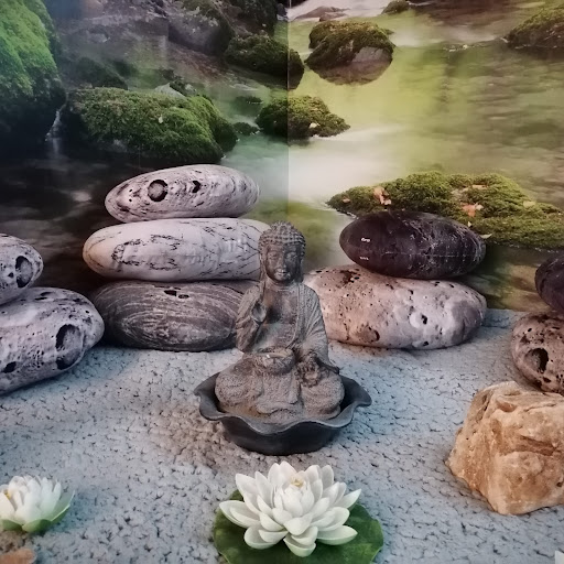 Escuela de Yoga Ananda en Reinosa, Cantabria