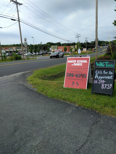 Dance School «Denise Baker School of Dance», reviews and photos, 15 Glenridge Rd, Schenectady, NY 12302, USA