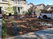 Succulents Forever - Photo 4 - Car repair in , Los Angeles