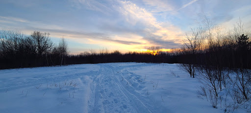 Crow Hill Conservation Restriction