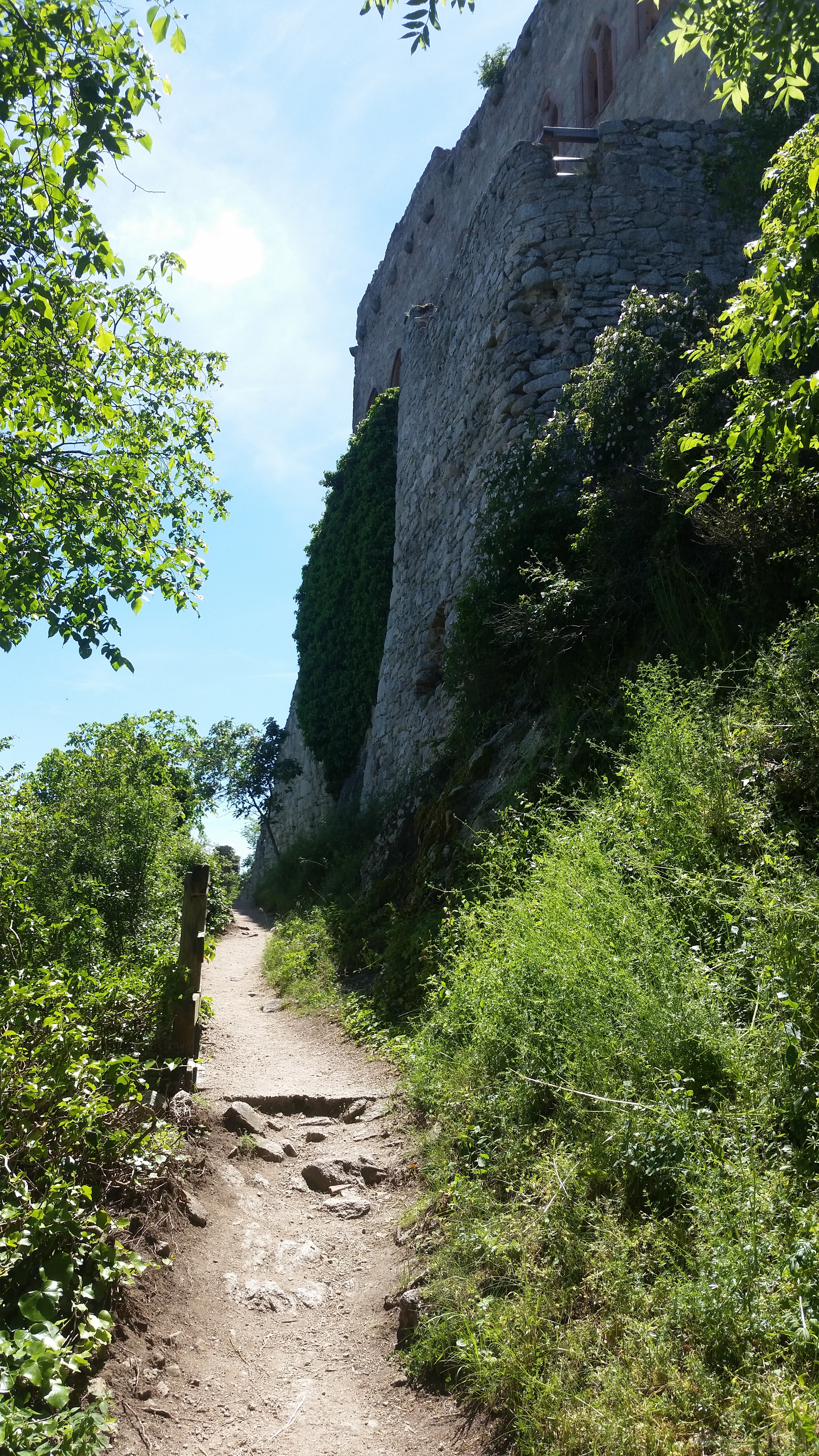 Photo n° 2 de l'avis de Pat.c fait le 12/06/2019 à 11:00
